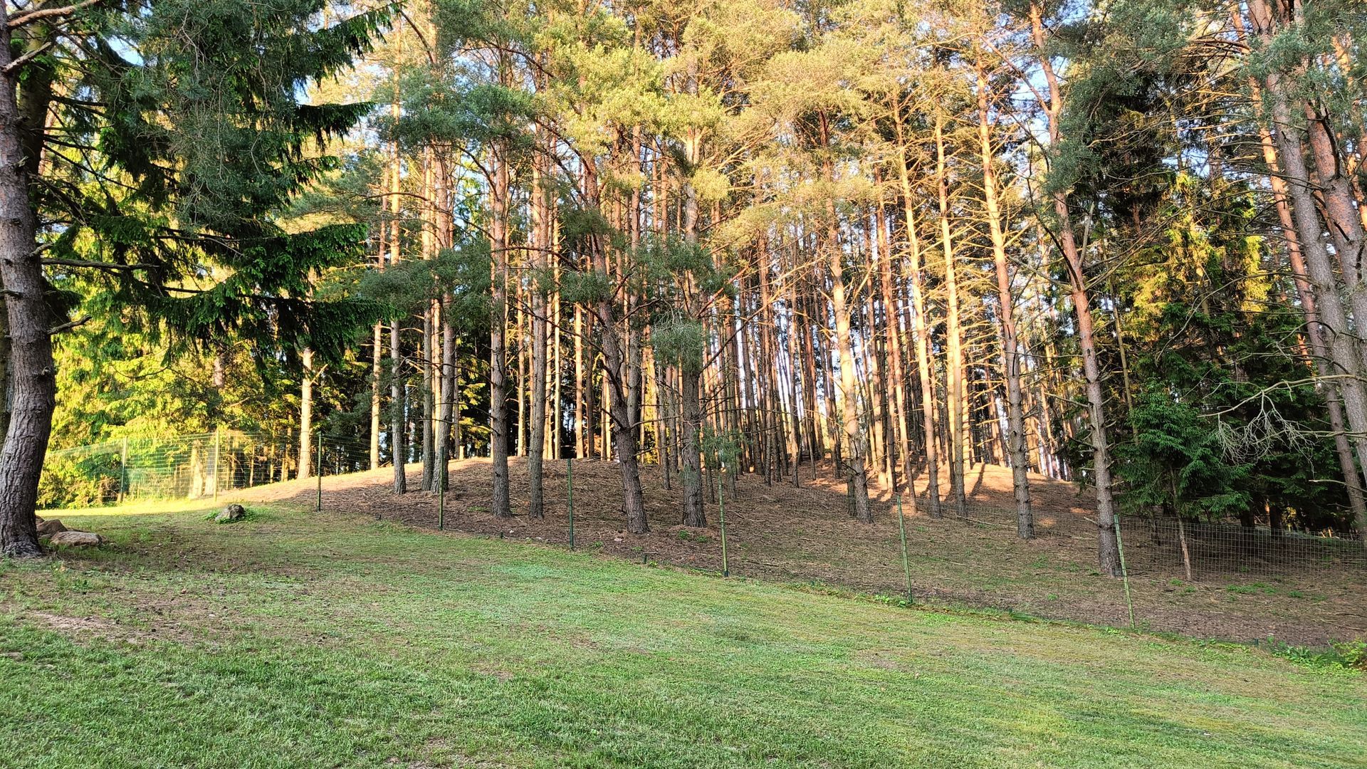 Laukininkai Mound
