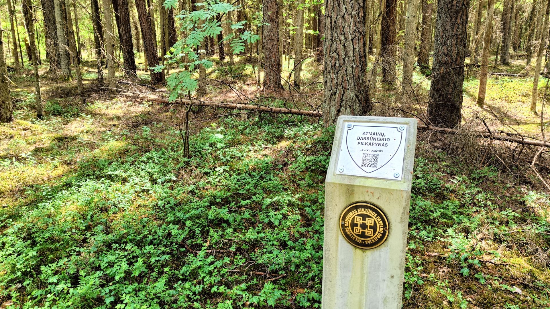 Darsūniškis Burial Ground