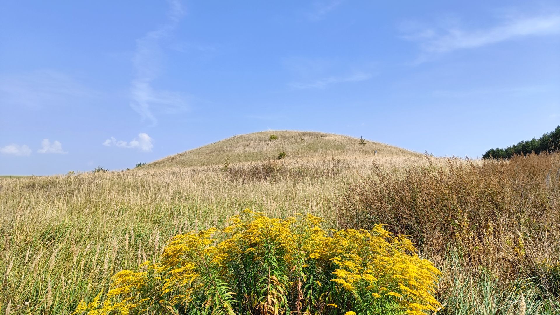 Papėčiai Mound