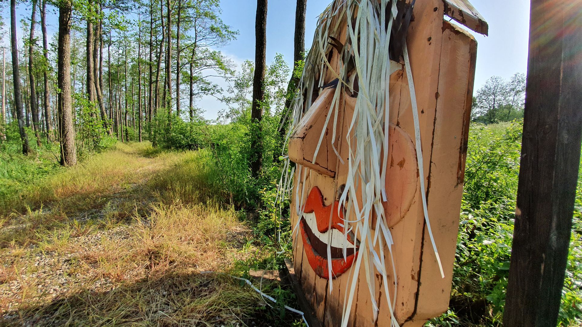 Masks Forest