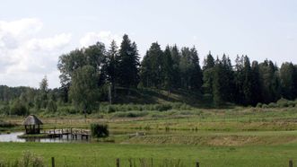 Vainagiai Mound