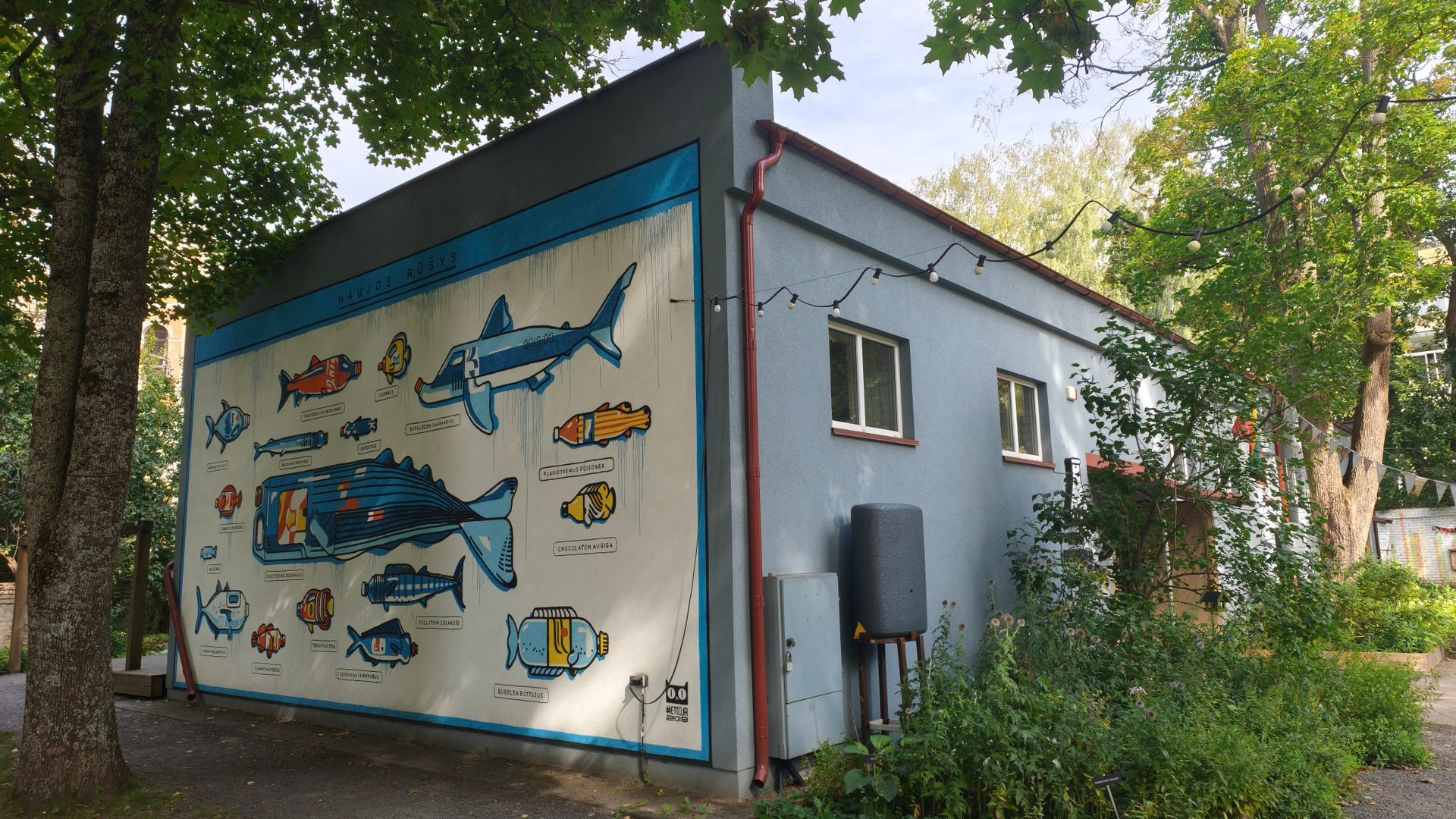 Mural New Species