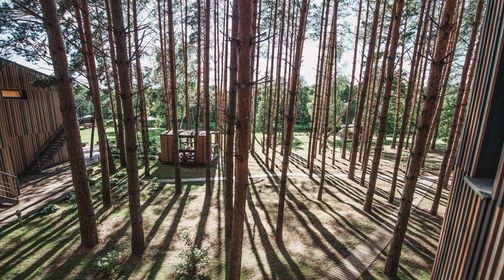 Homestead Pušų takas