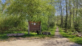 Žerkščiai Pine Forest Trail