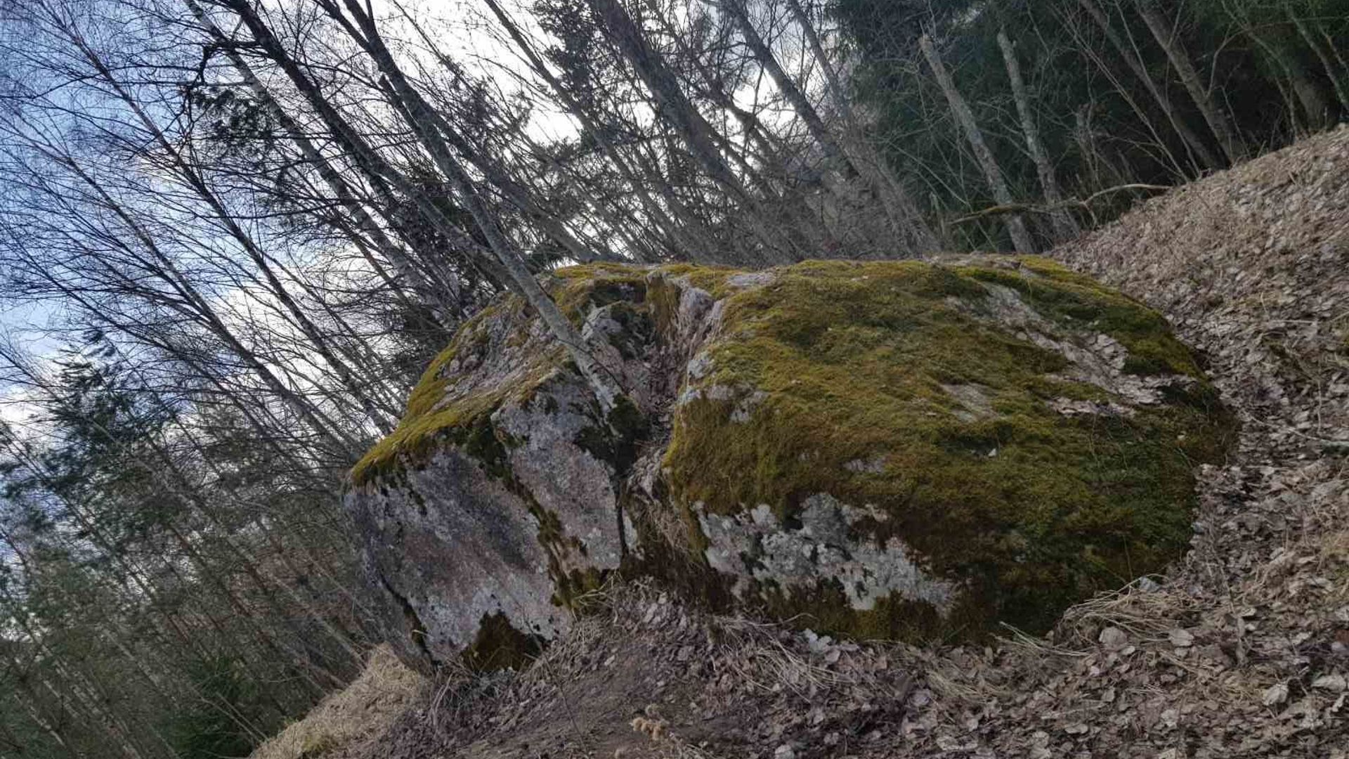 Vėžaliai Boulder