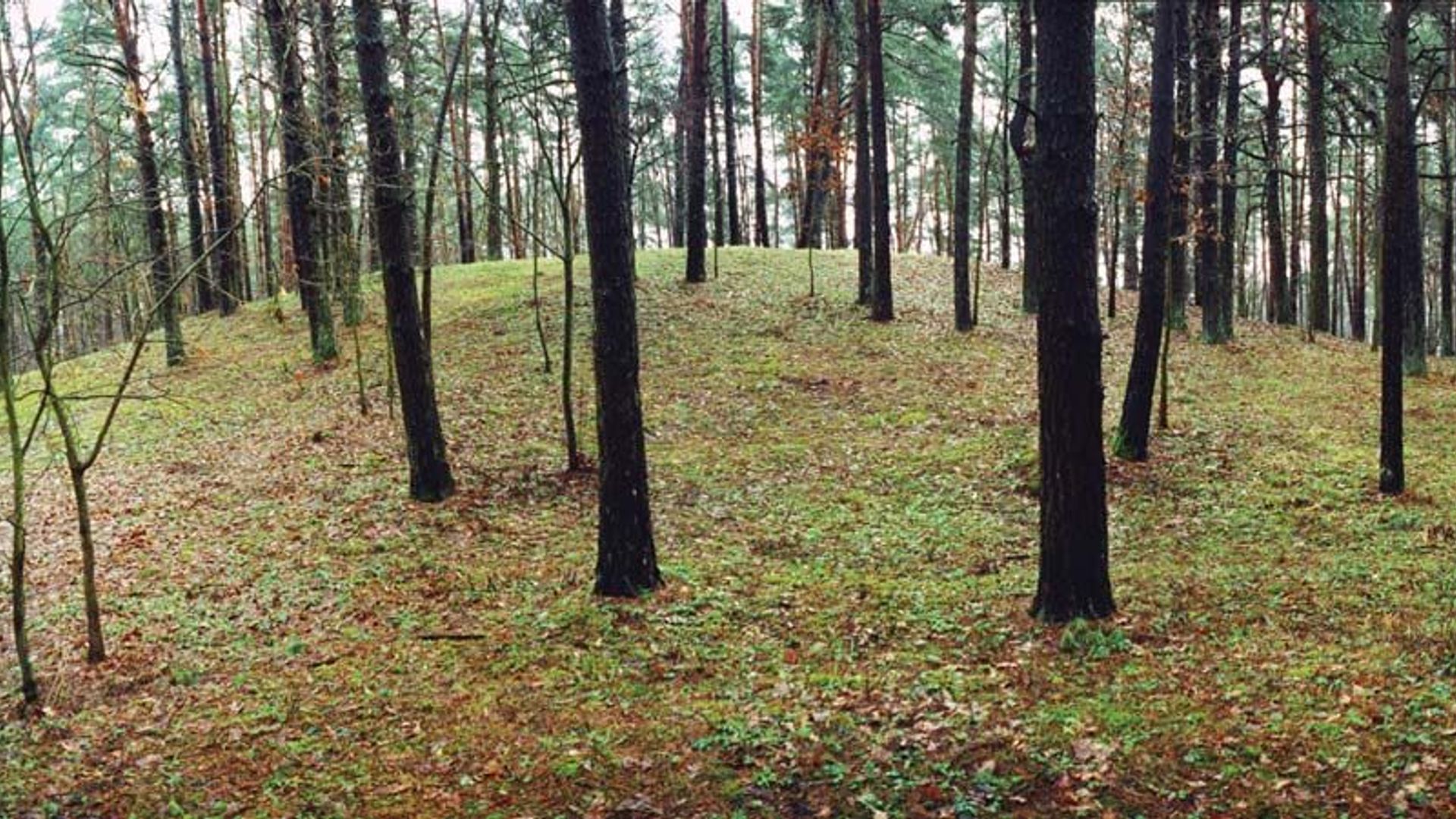 Pakalniškiai Mound