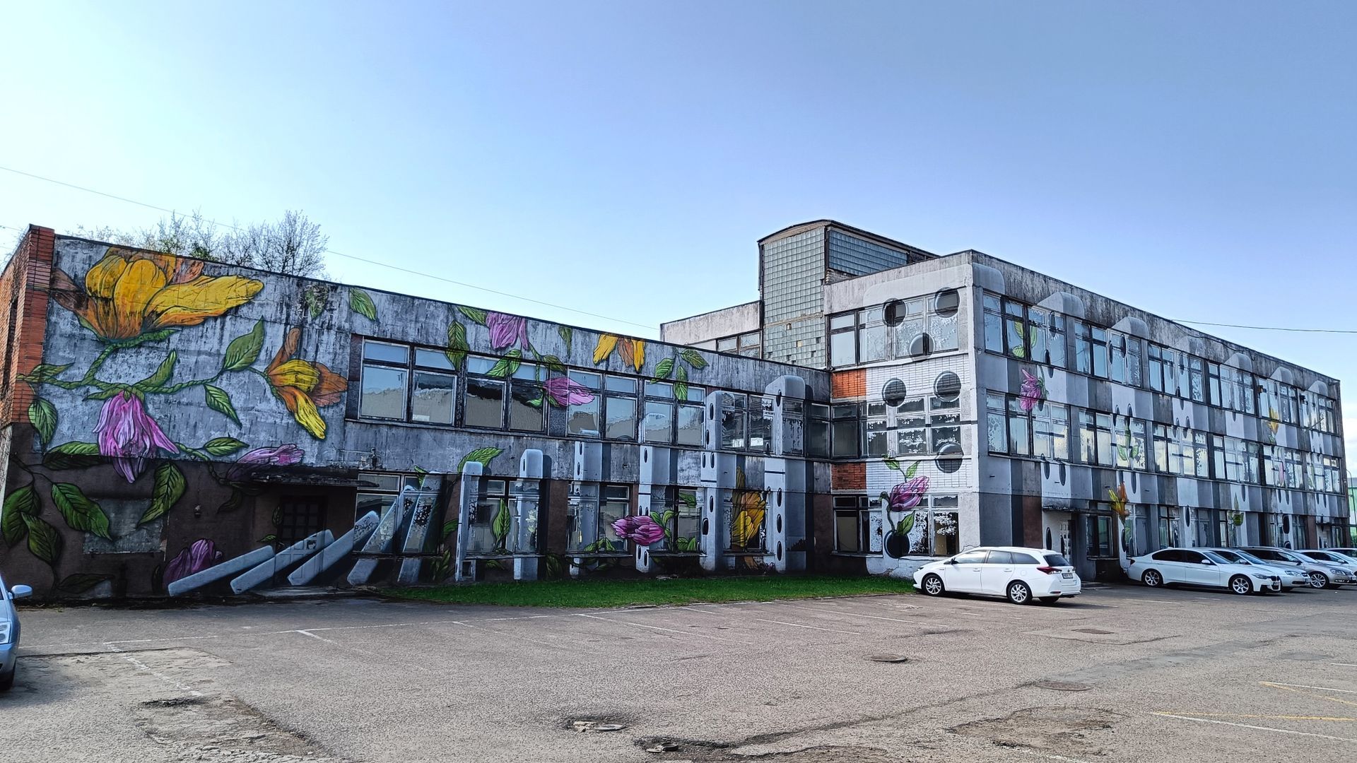 Piešinys Domino