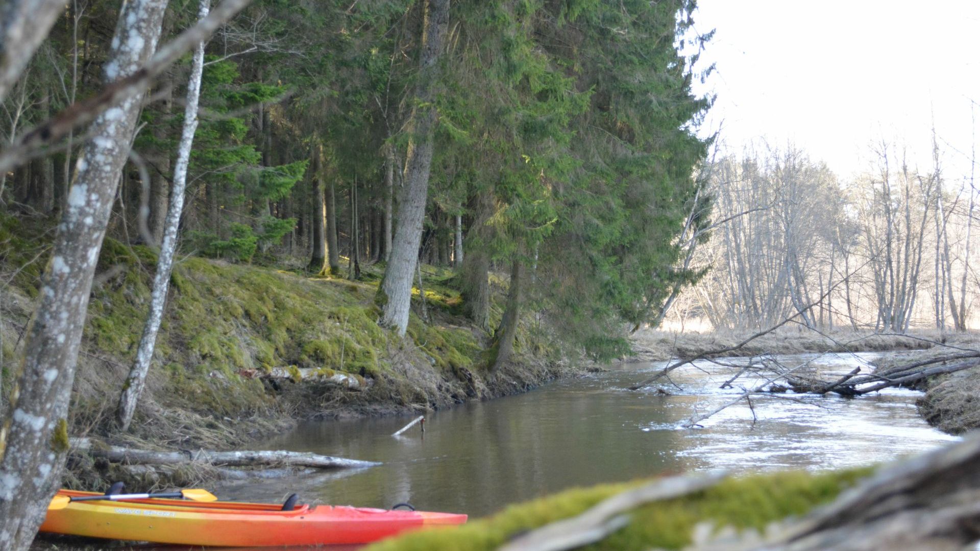 Bajorai Kayaks