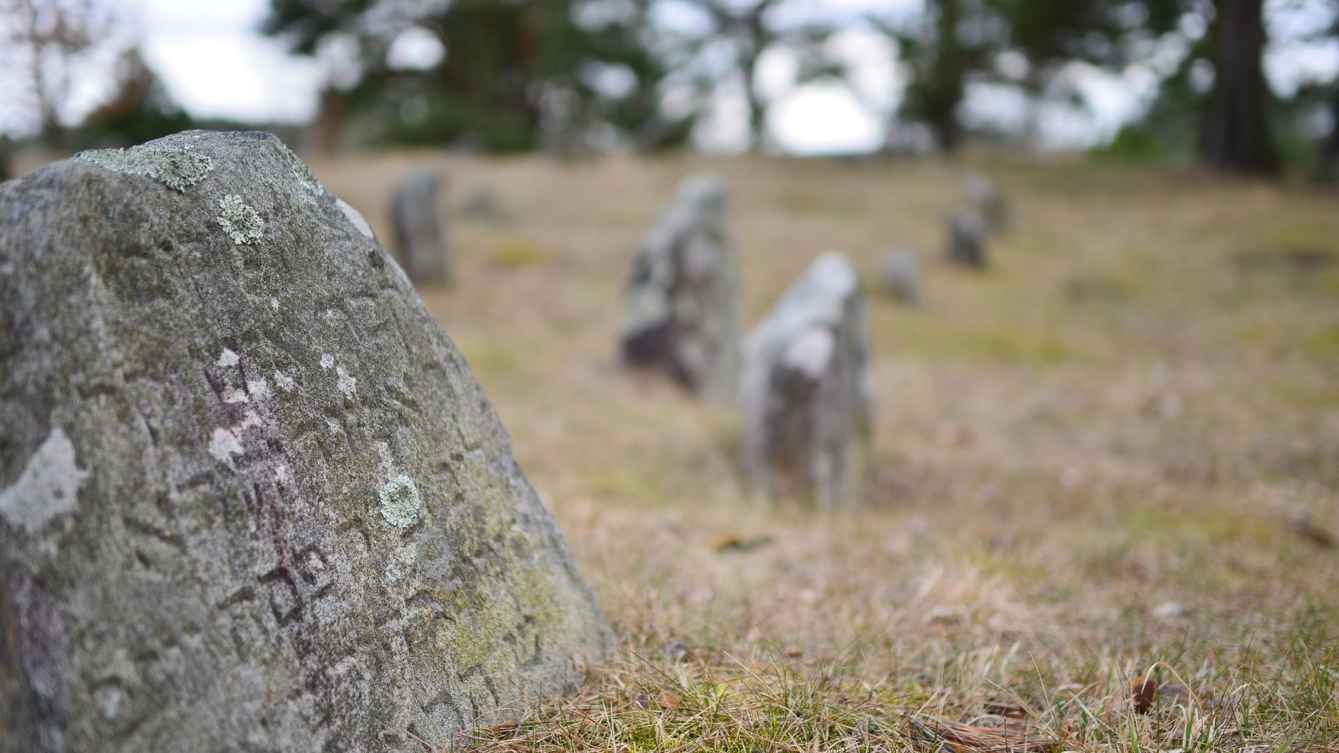 Dieveniškės Old Jewish Cemetery