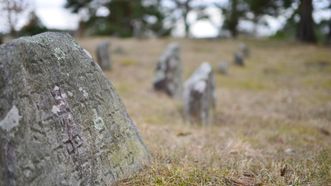 Dieveniškės Old Jewish Cemetery