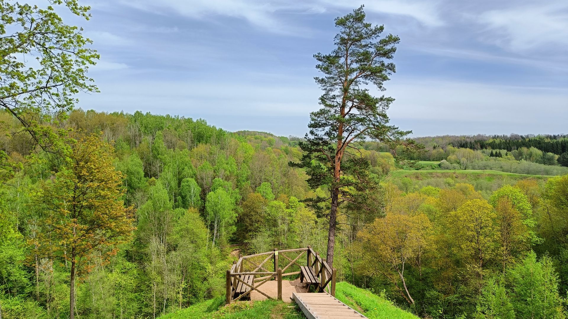 Buivydų piliakalnio apžvalgos aikštelė