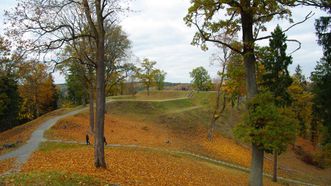 Rokantiškės Castle Ruins