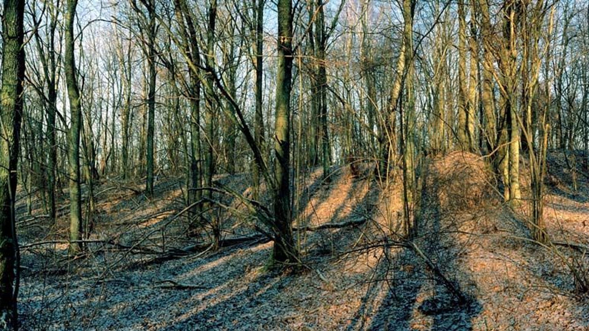 Gerduvėnai Mound