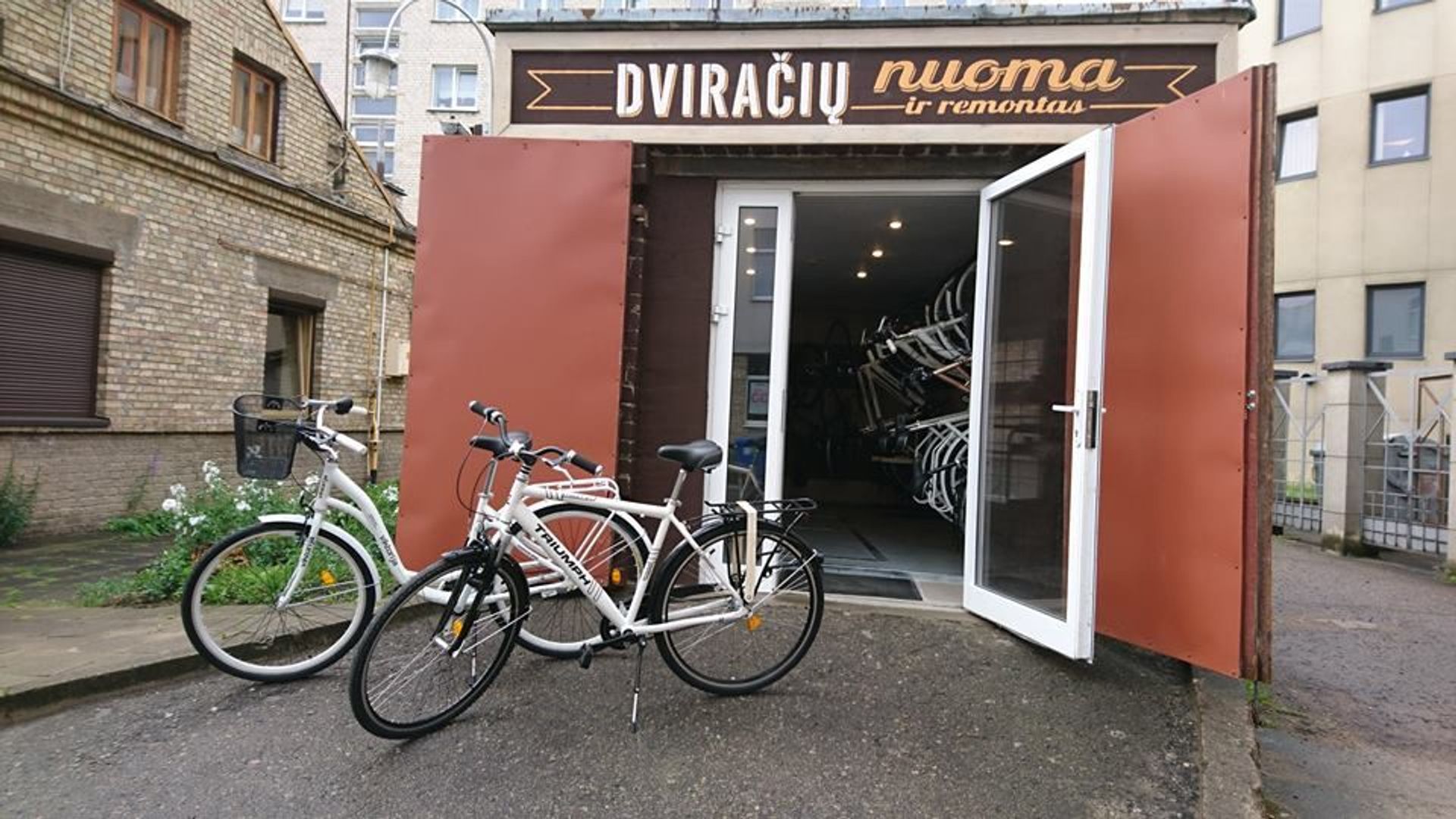Bicycle Rental