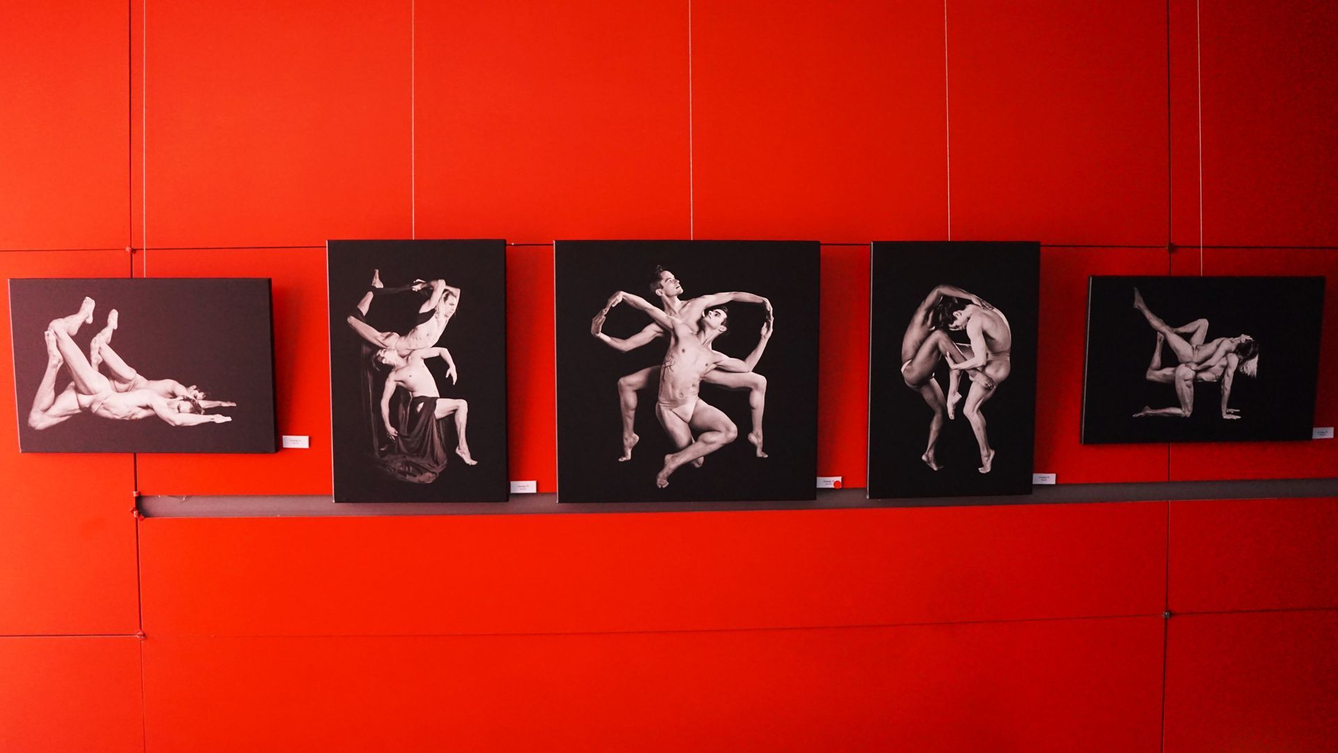 Marijampolė Art Gallery