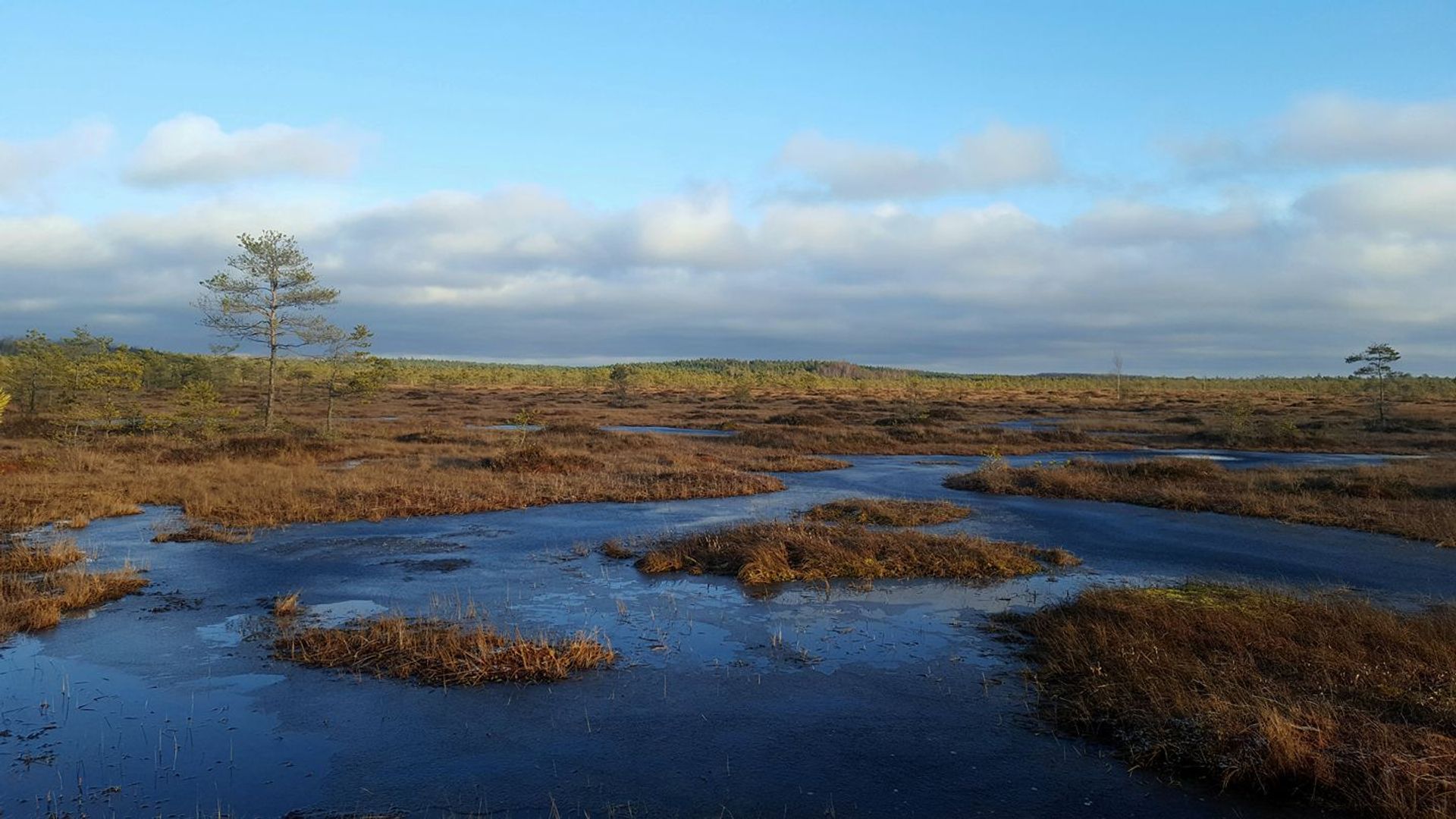 Kamanos State Strict Nature Reserve