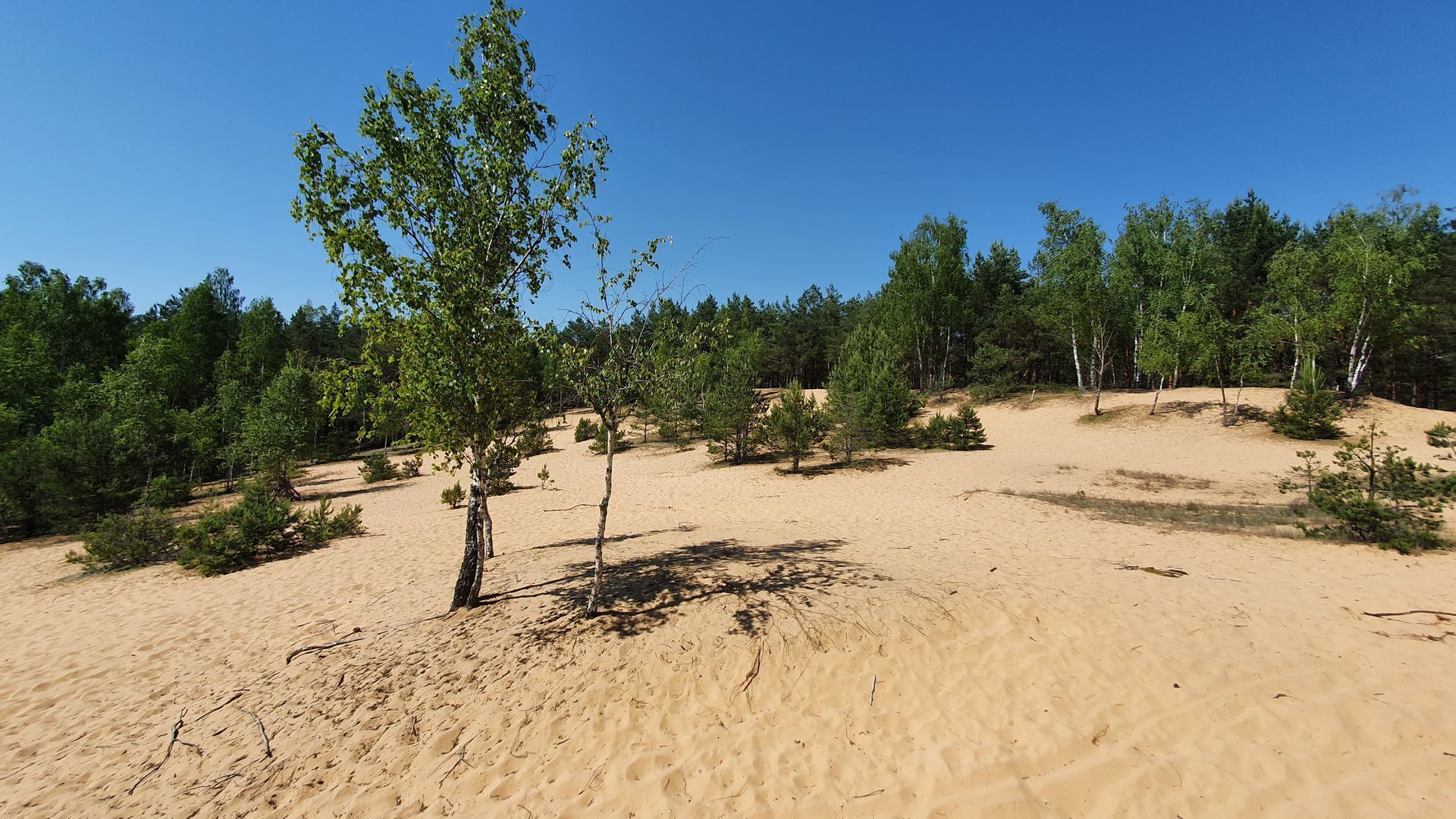 Dunes Without Sea