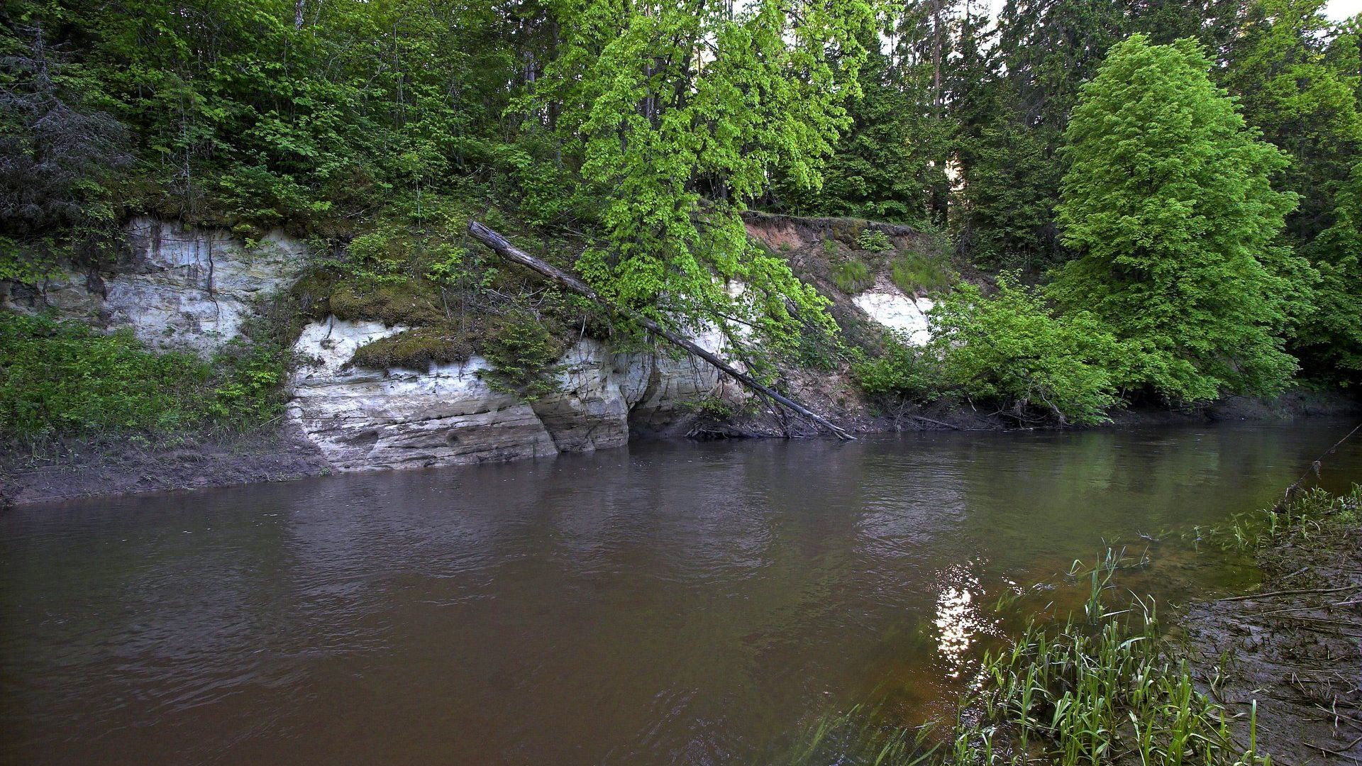 Virinta River Exposure