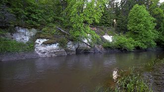 Virinta River Exposure