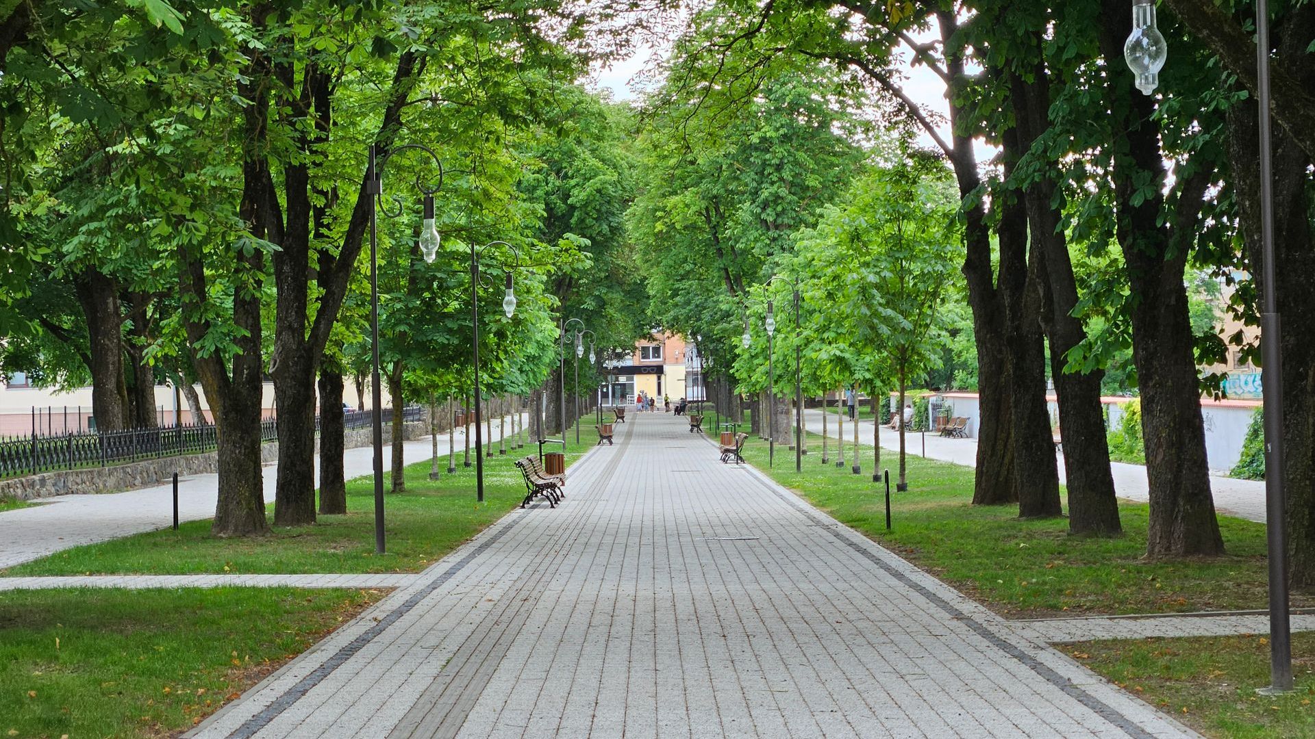 Chestnut Alley