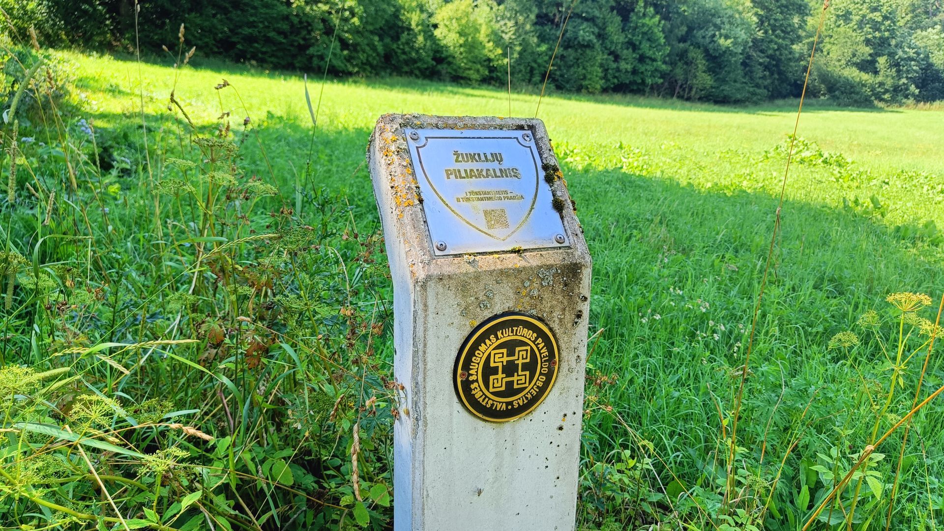 Žuklijų piliakalnis