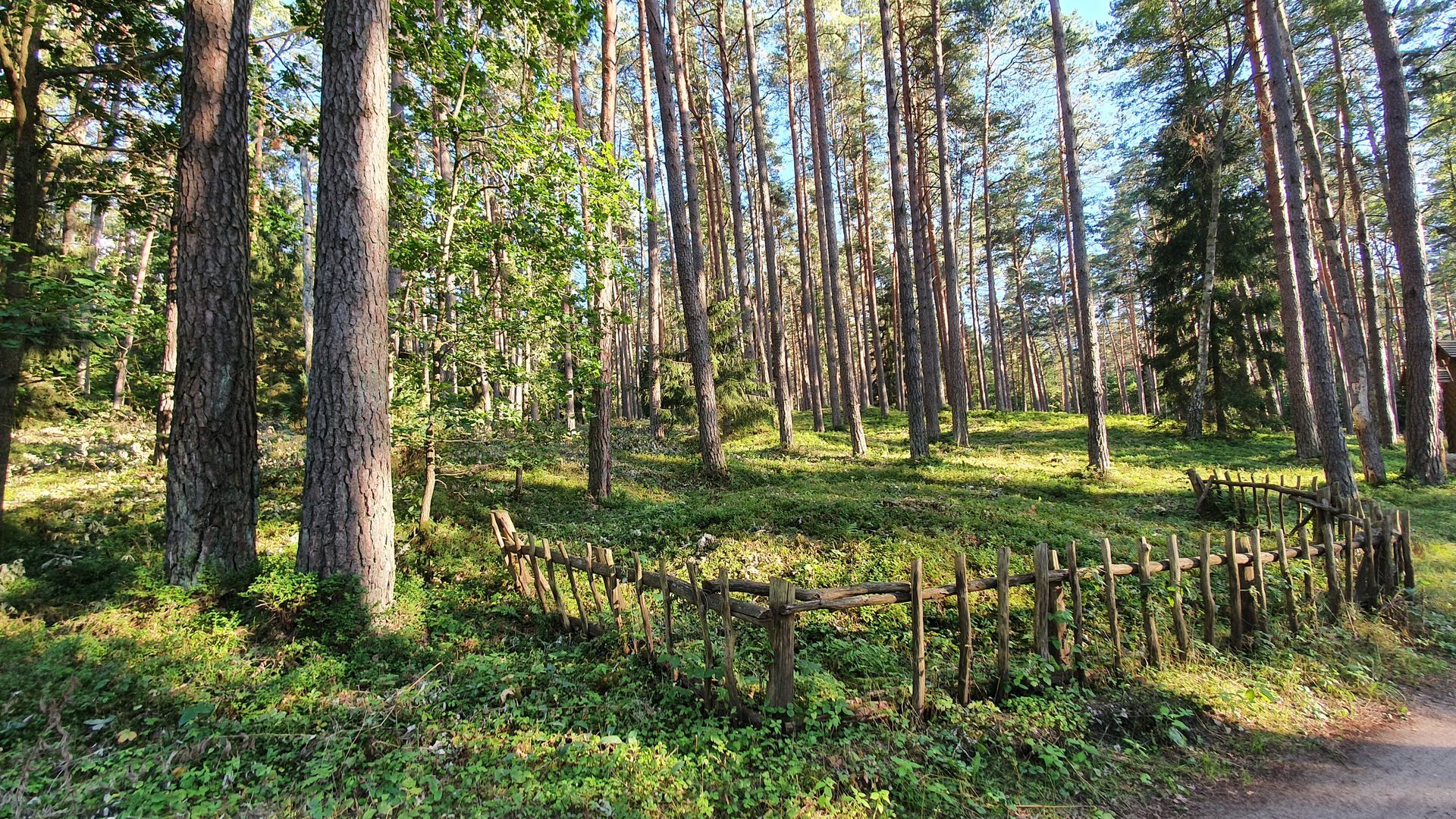 Padūkštai Burial Ground