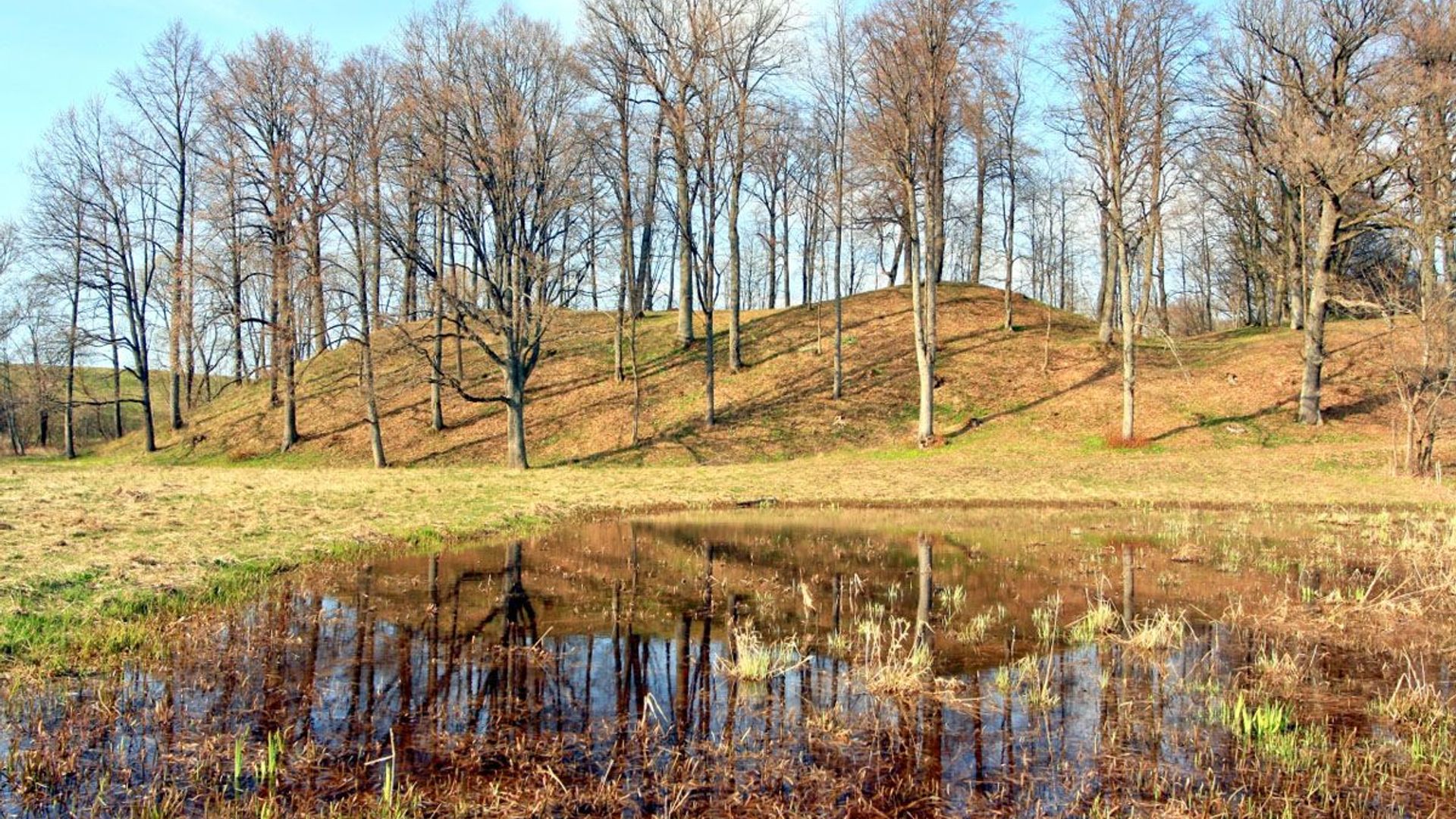 Eržvilkas Mound