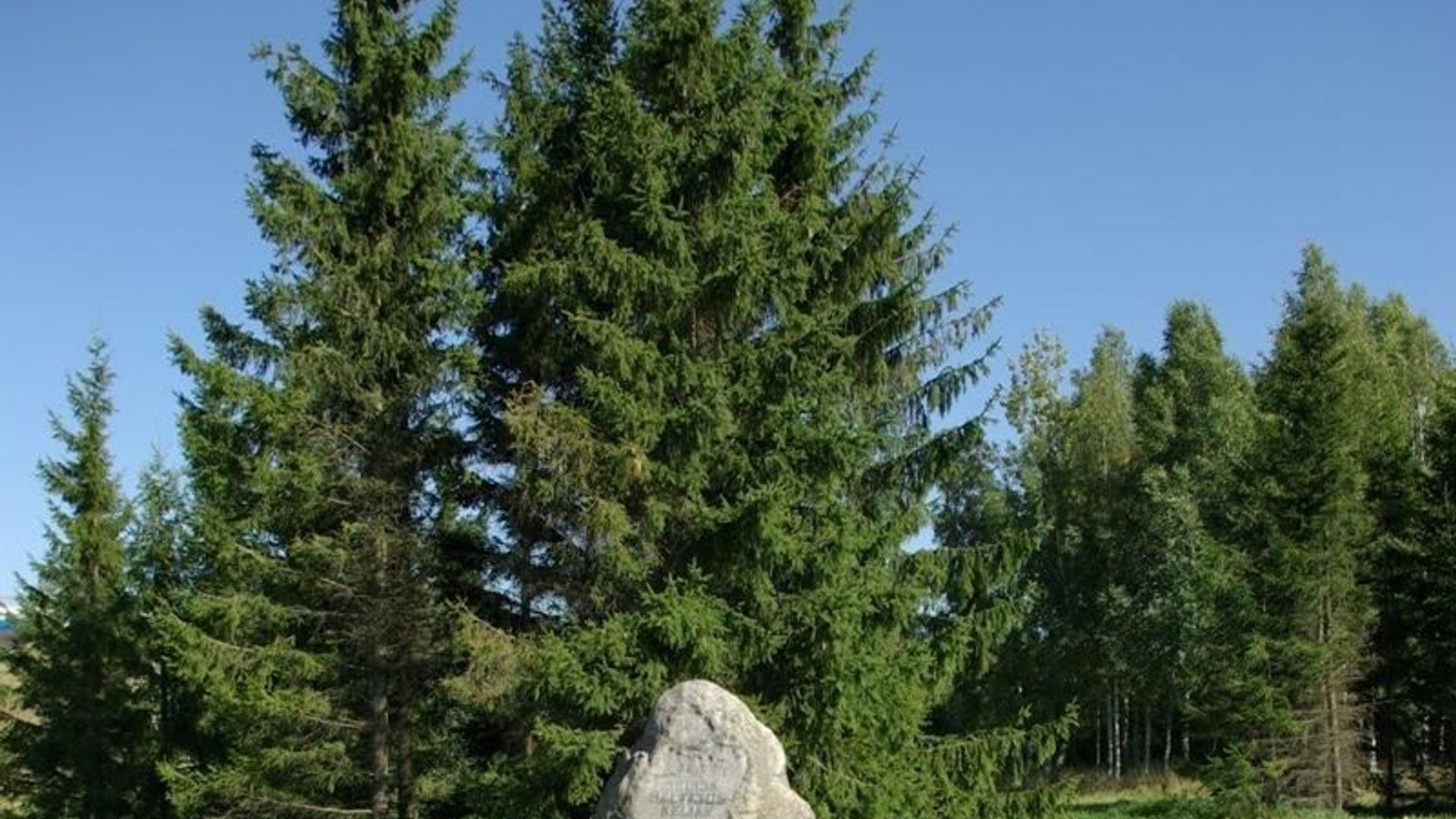 Baltijos kelio širvintiškių ženklo vieta