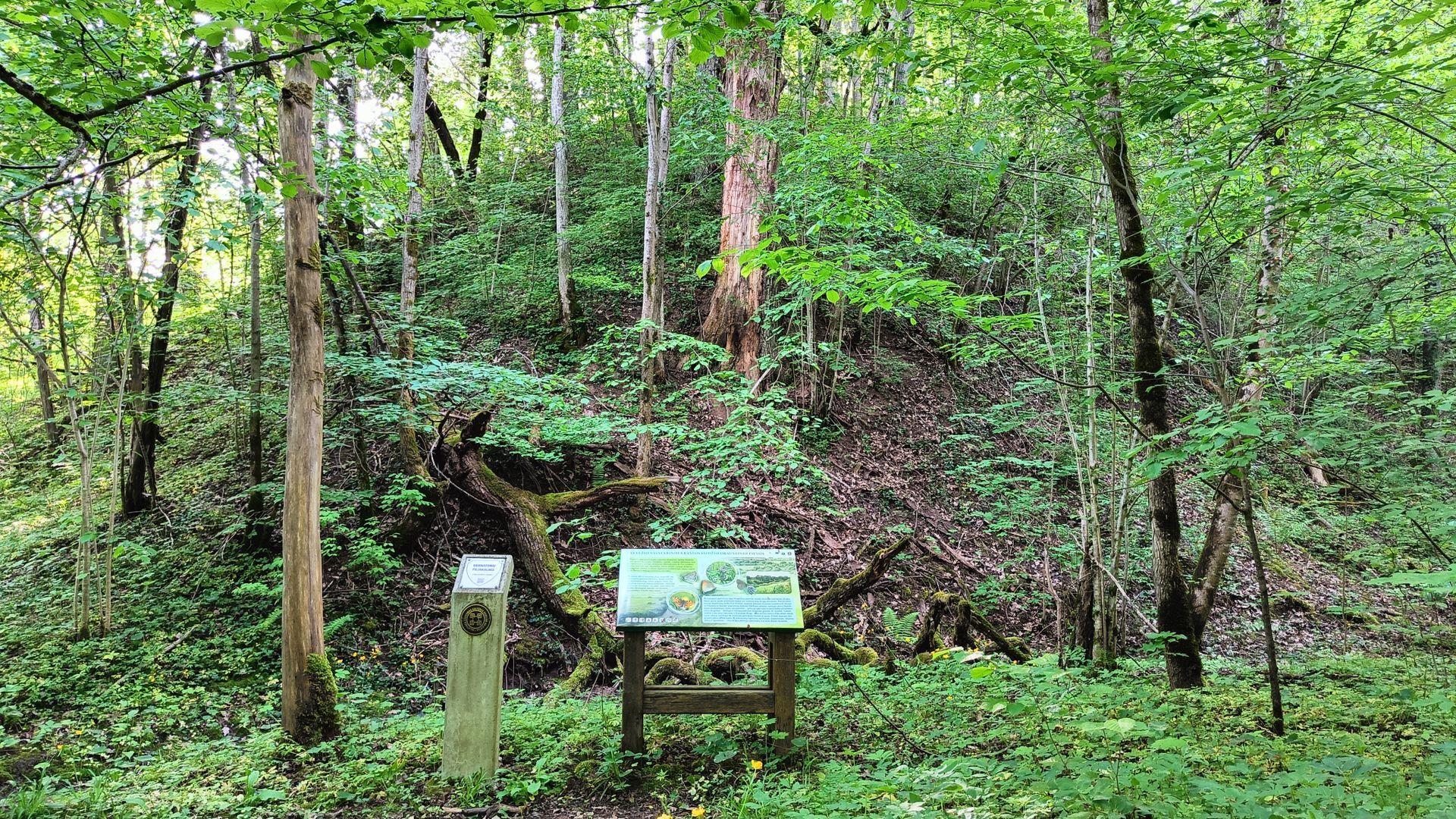 Bernatoniai Mound