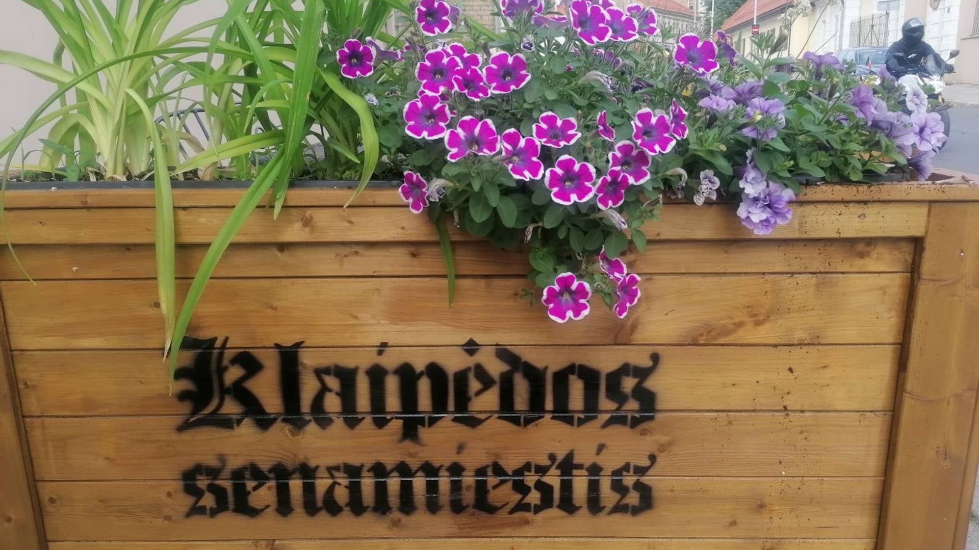 Cafe Klaipėdos senamiestis