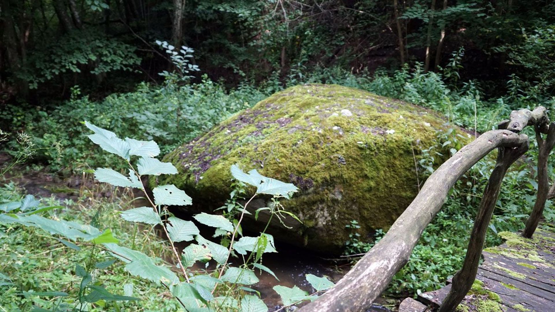 Skirtinas Boulder