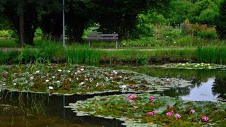 Vilnius university Šiauliai academy Botanical Garden