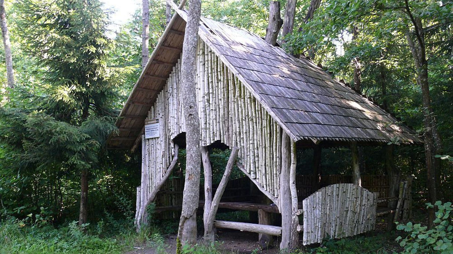 Skilvionys Forest Rest Place