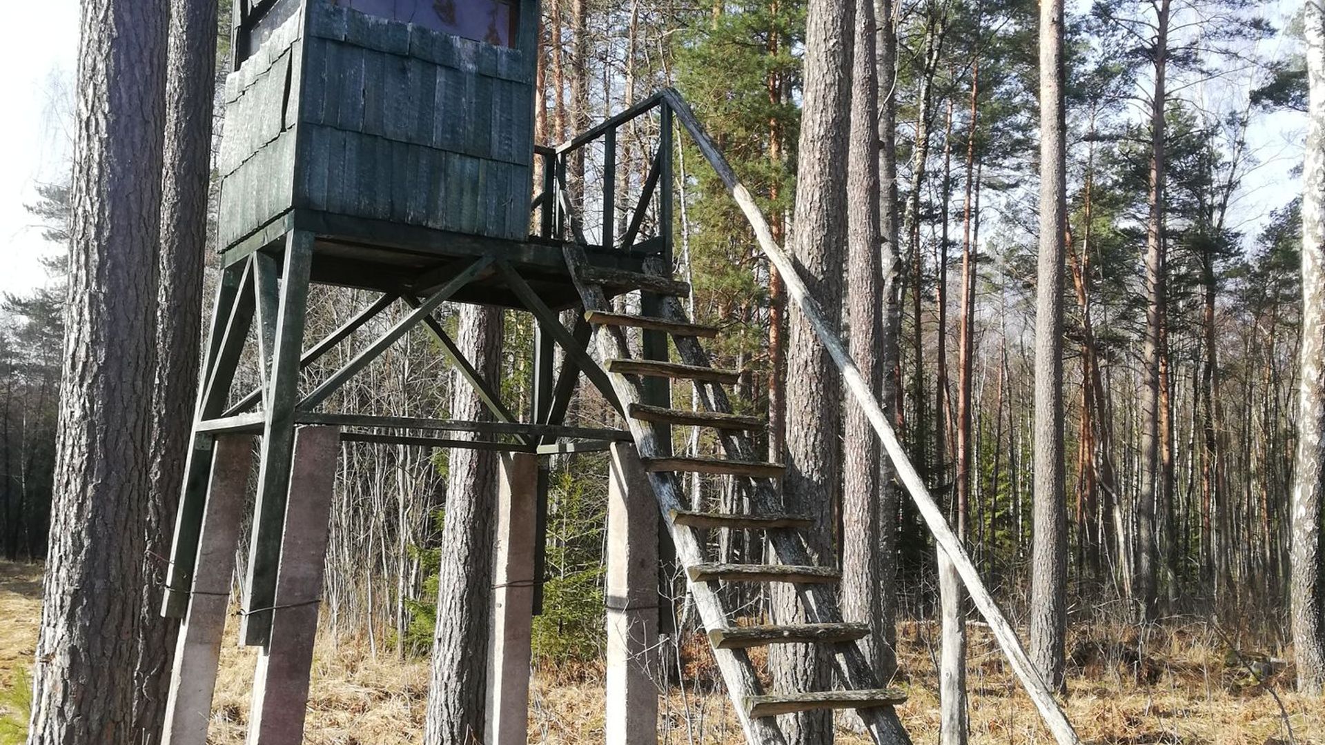 Concrete Legs Observation Deck