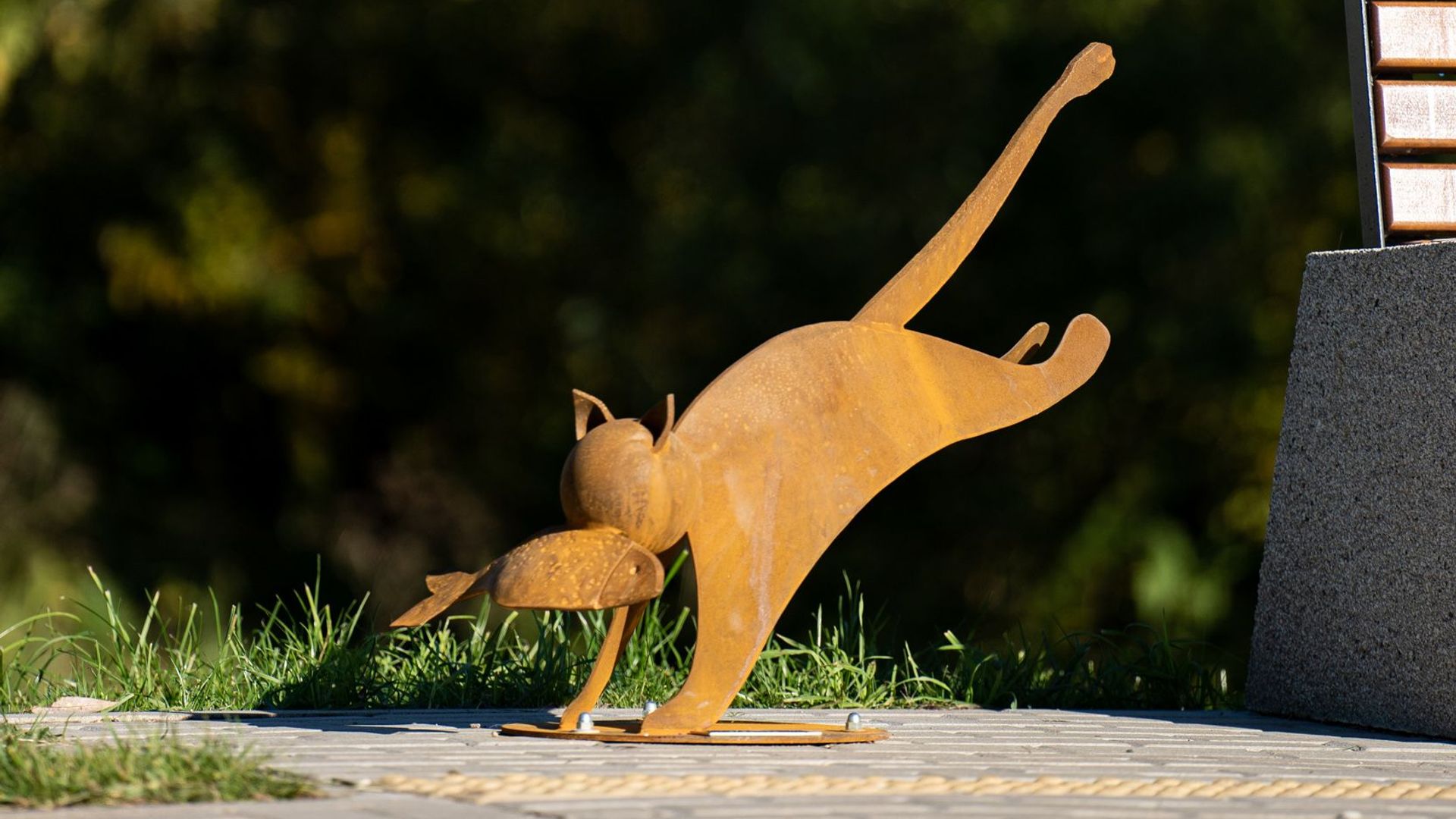 Cat of Abundance