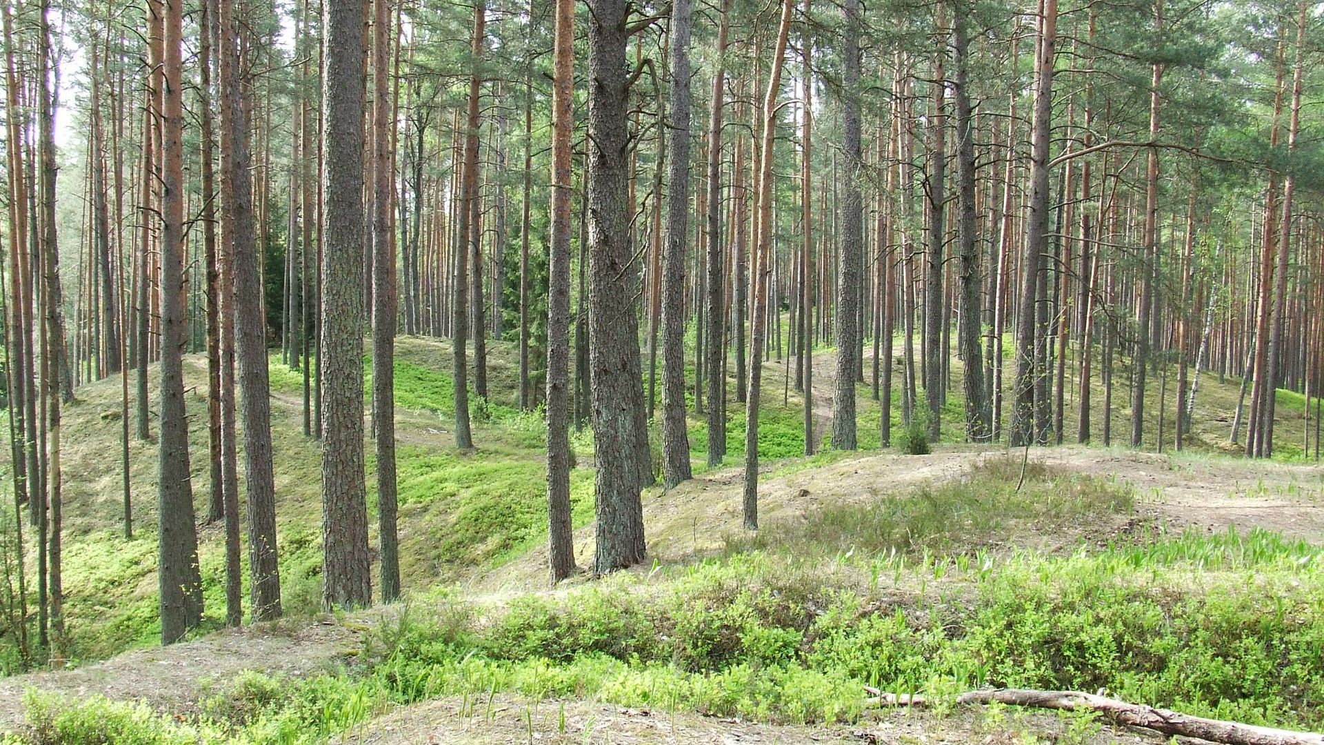 Gairiakalnis Hill