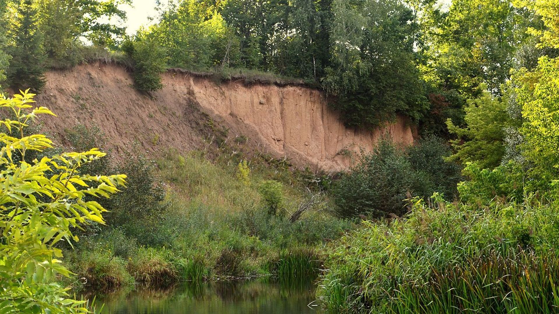 Vosbučių atodanga