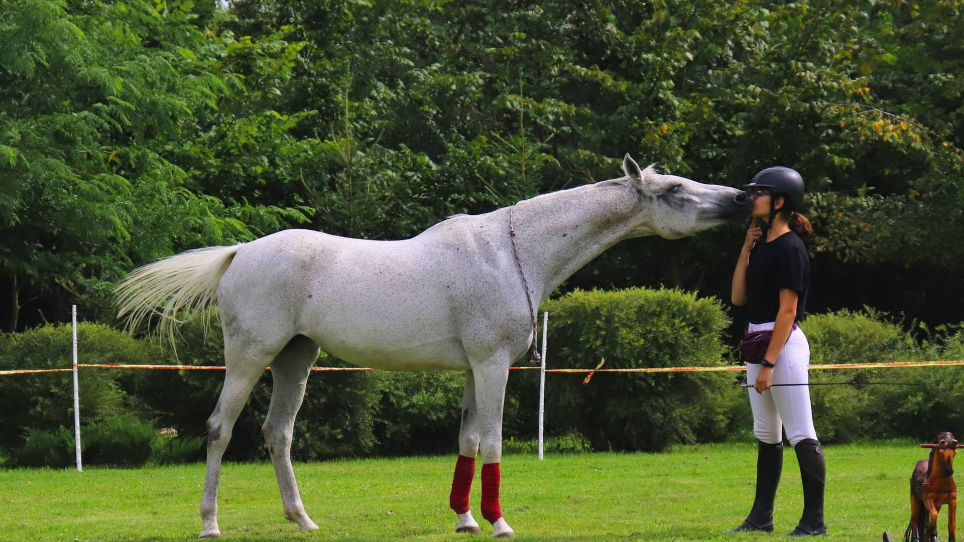 Stud Farm of Šiauliai Young Naturalists Center