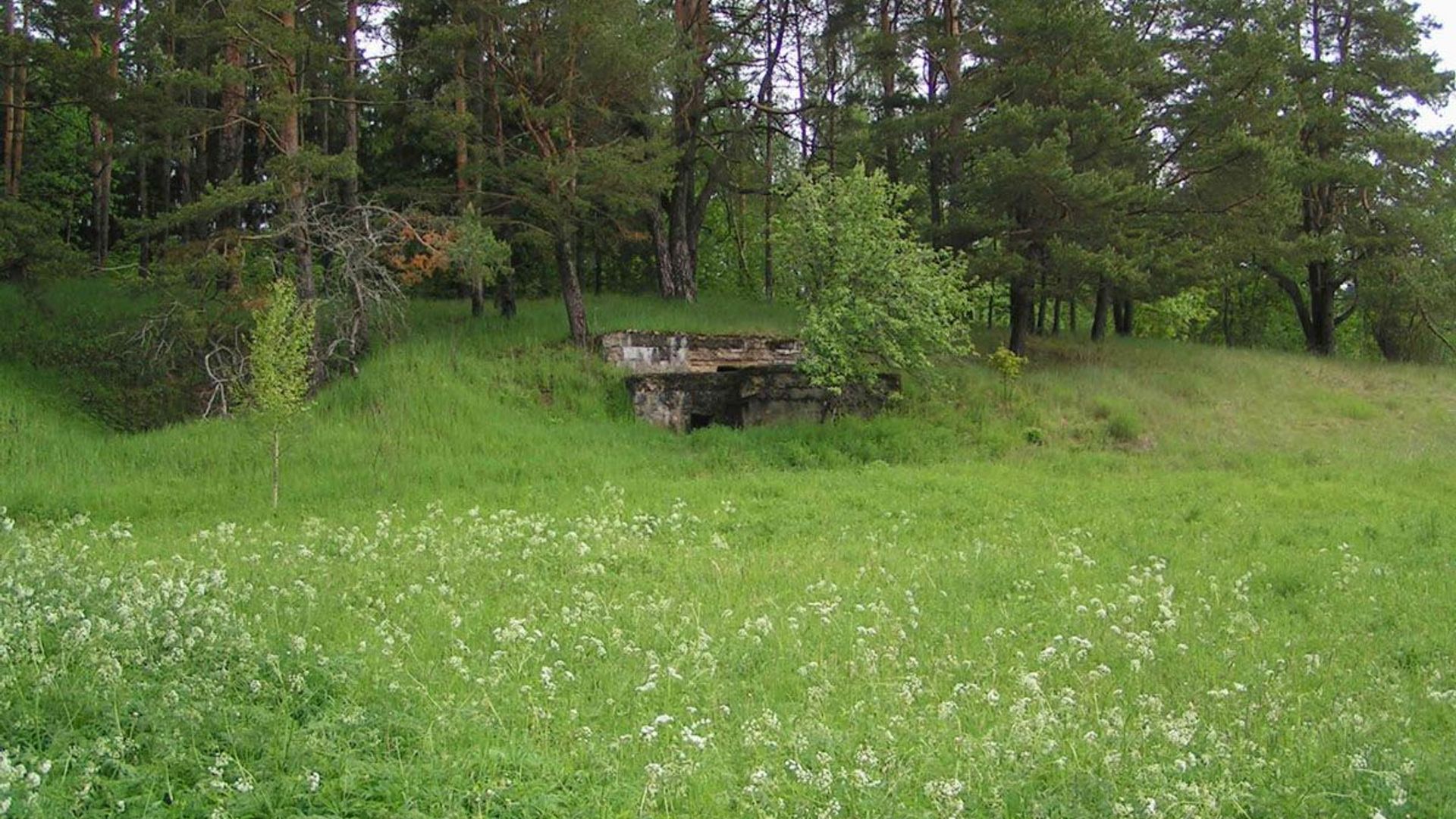 Kimbartiškė Bunker II