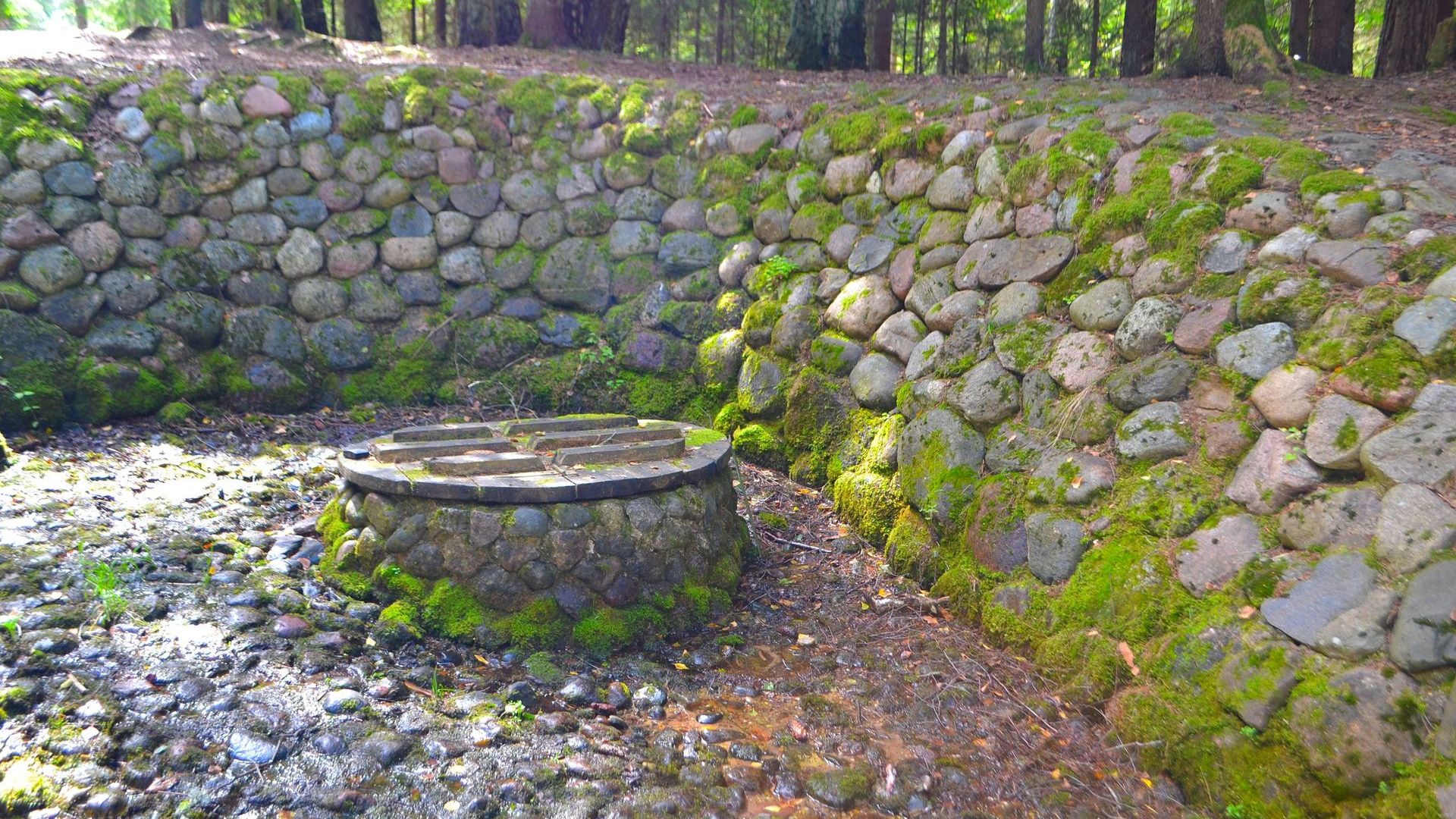 Medžiukalnis Spring