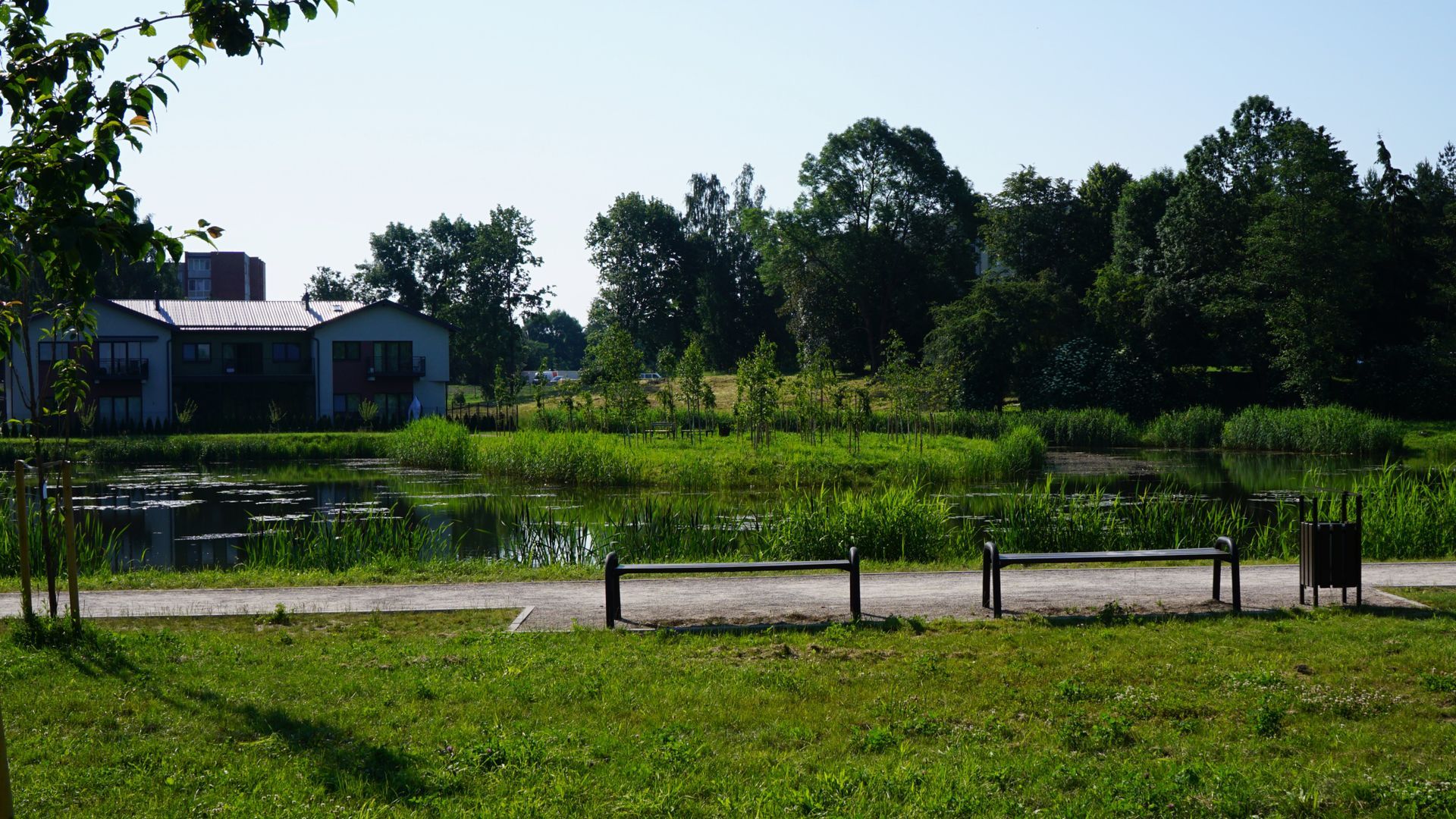 Marijampolės sakurų sala