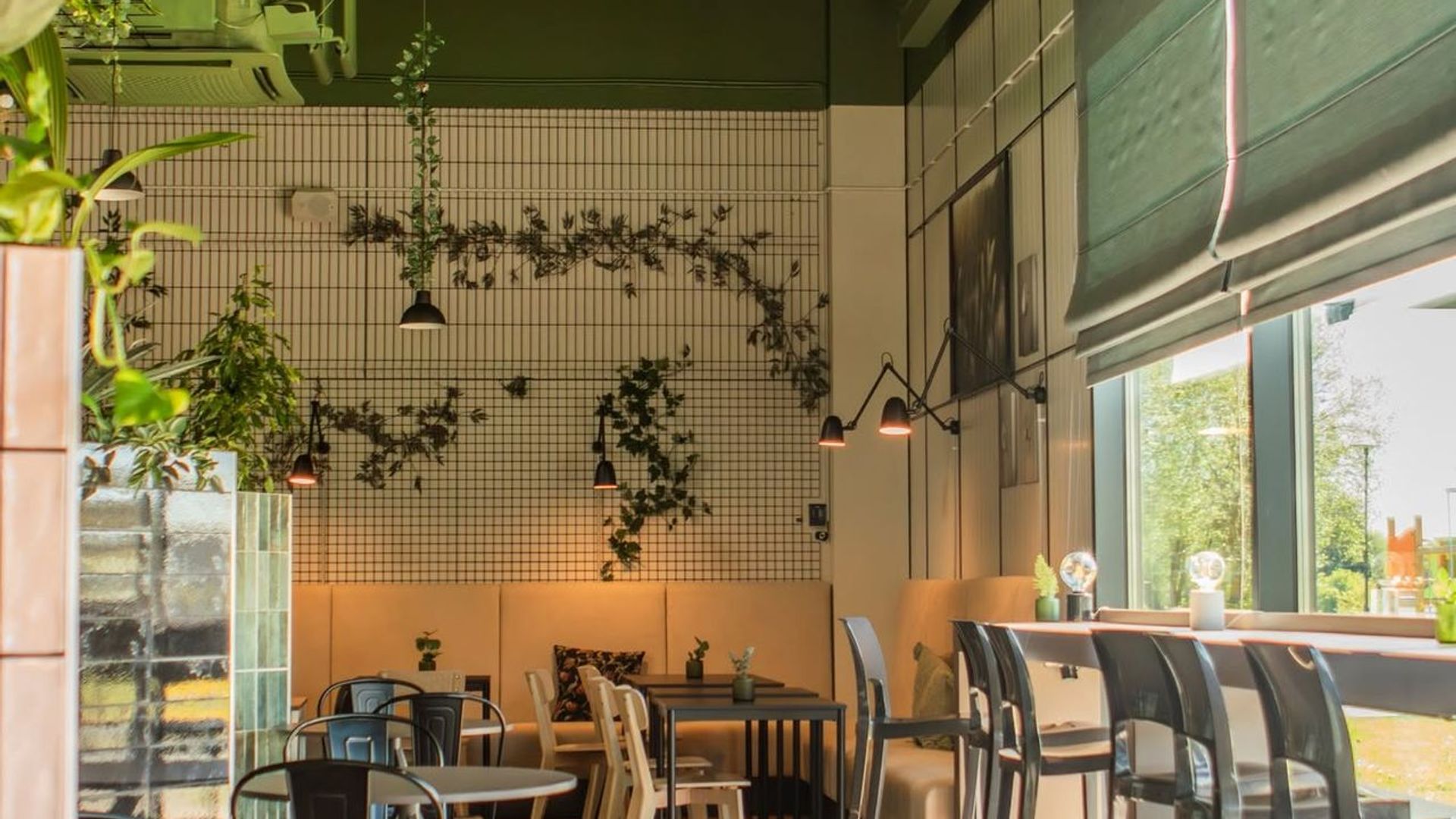 Debut bistro