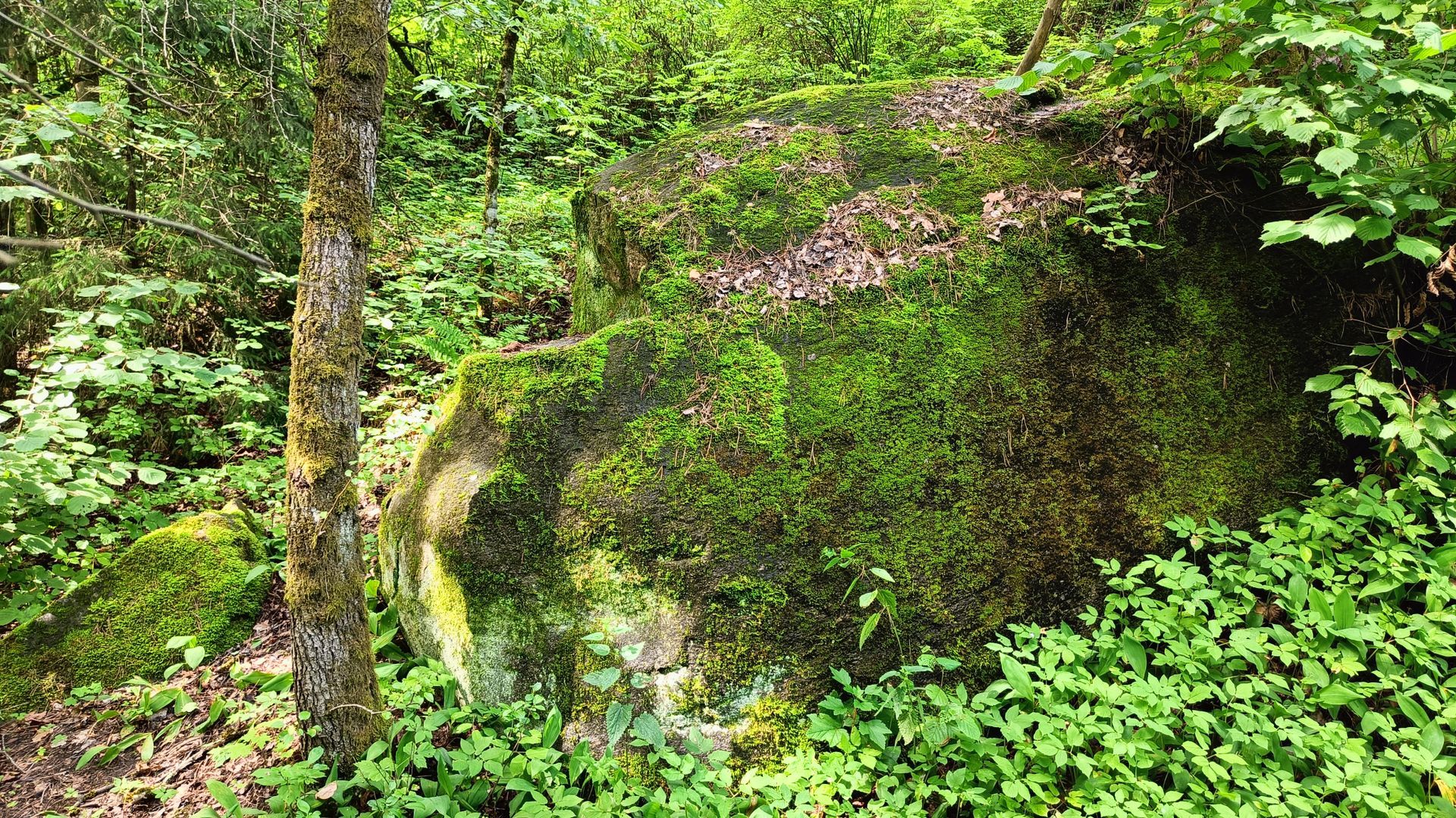 Witch Boulder