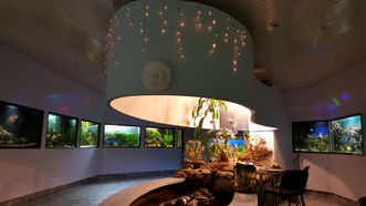Akvariumų salonas