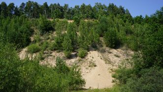 Gabrieliškiai Quarry Exposure