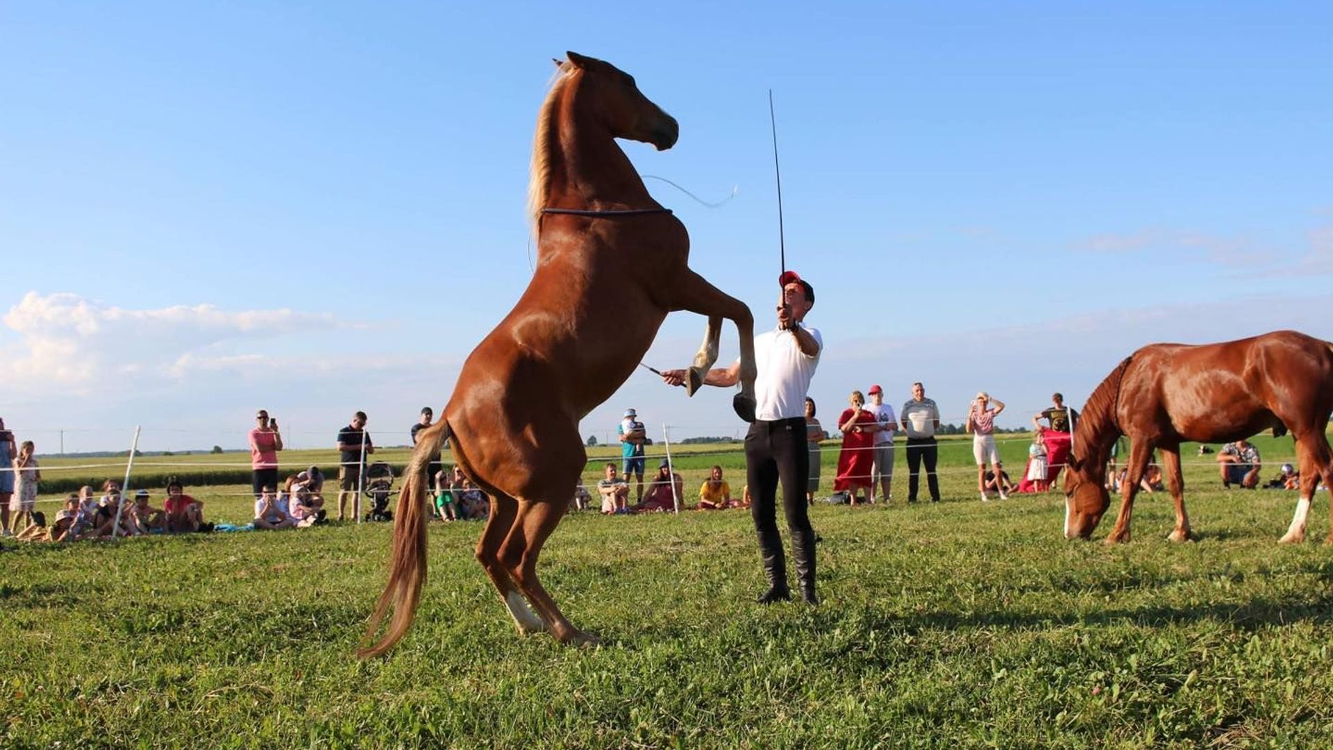 The Art of Riding Bingo