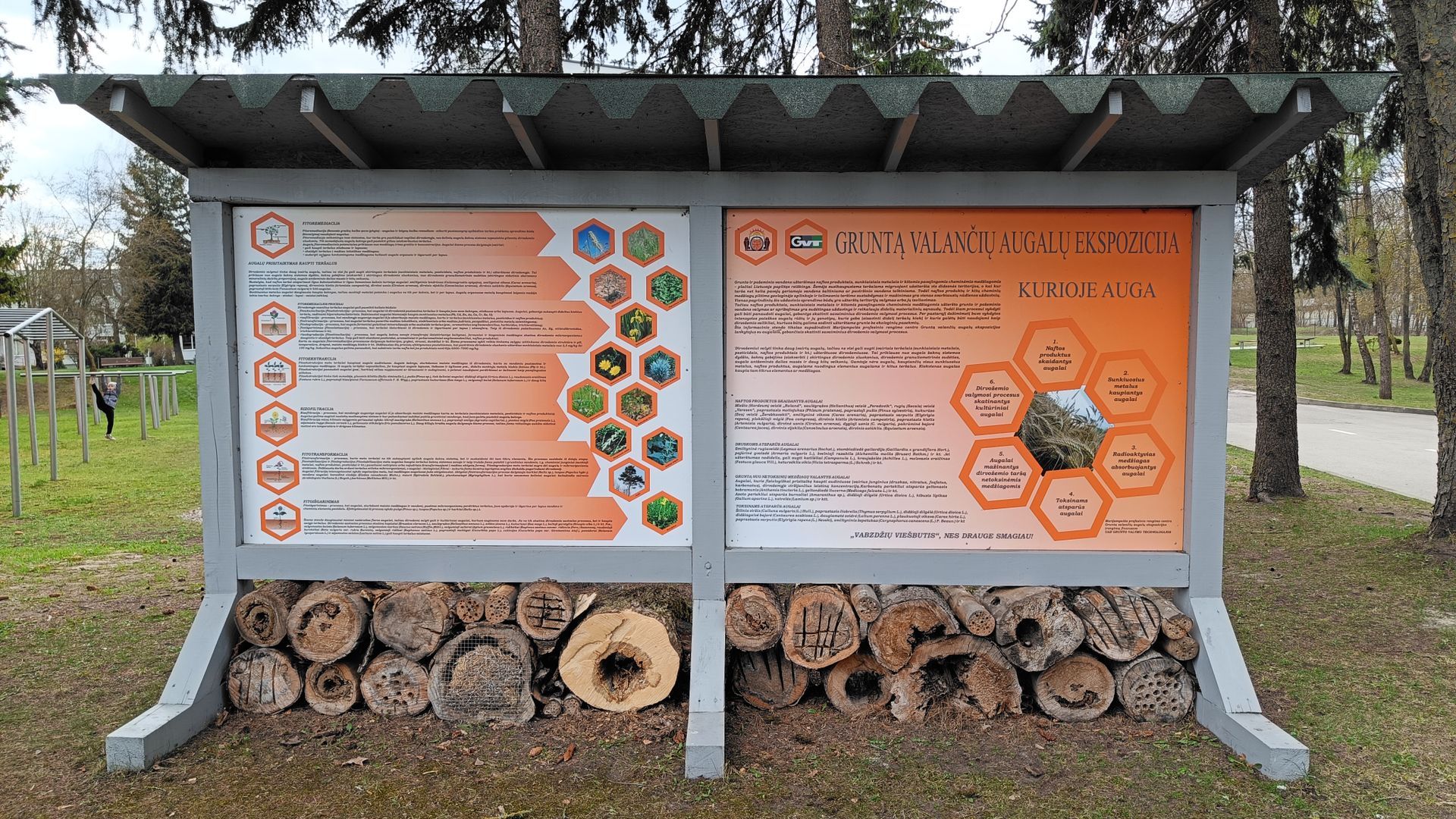 Exposition of Soil-Clean Plants