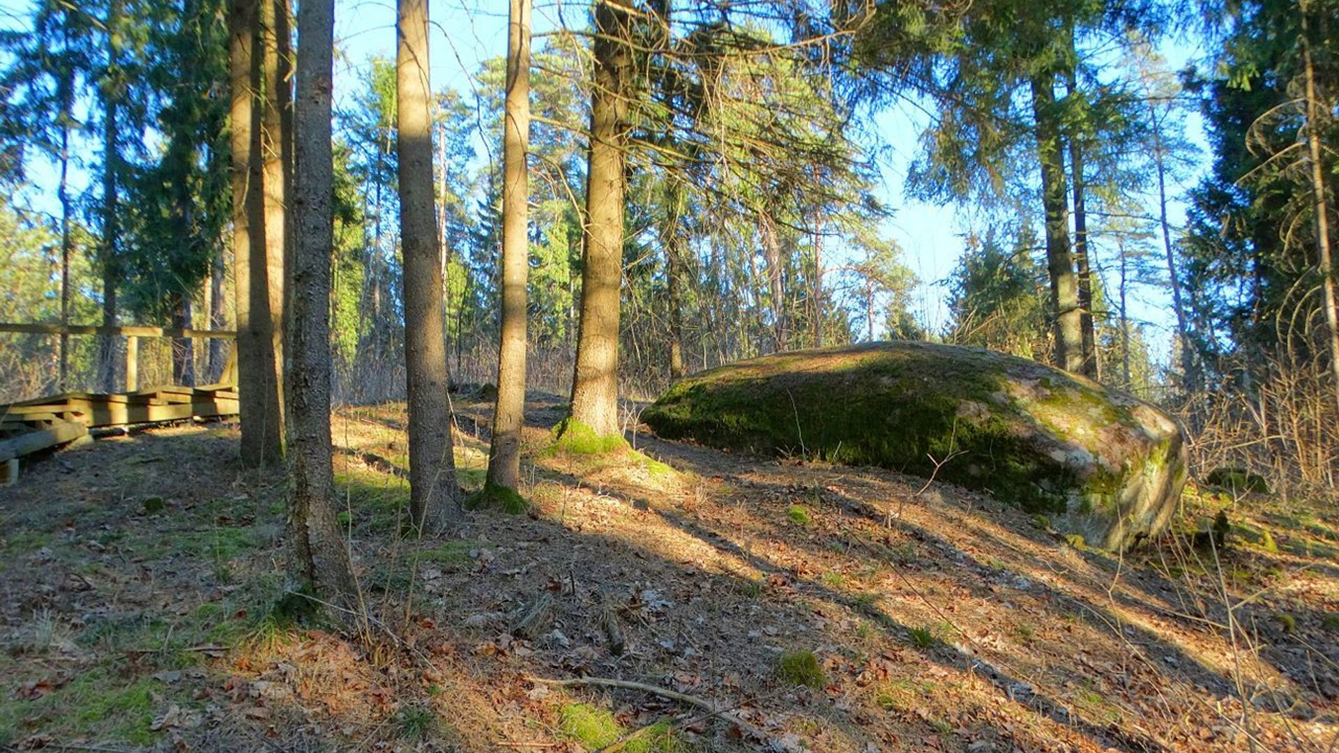 Martynas Boulder