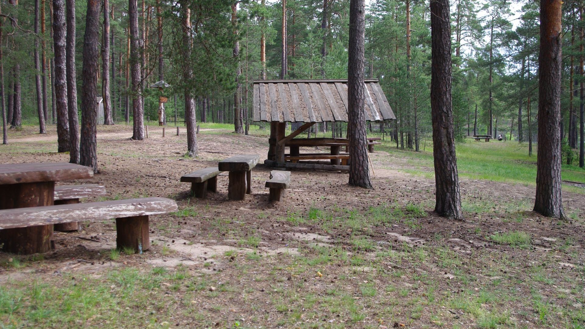 Ašarėlis Campsite