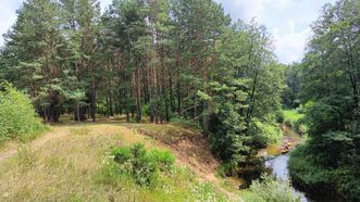 Kapčiamiestis Ancient Settlement Pinčiaragis